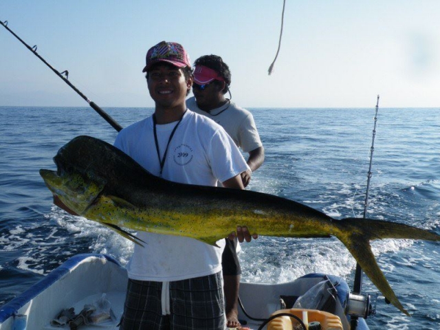 Pesca
